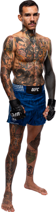Andre Fili