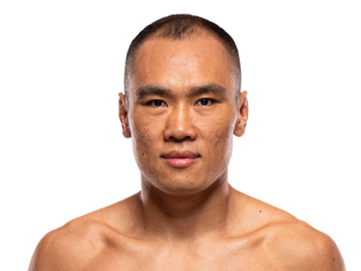 Ding Meng