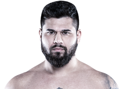 Paulo Renato Jr.