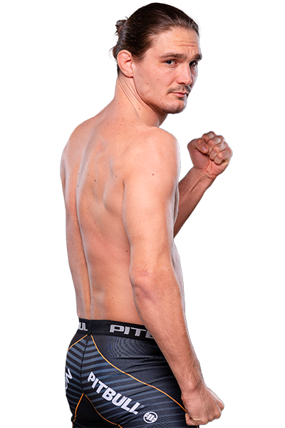 Predrag Bogdanović